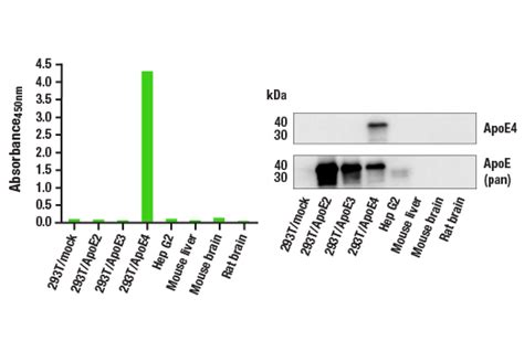 apoe4 pan-apoe elisa kit|Human pan.